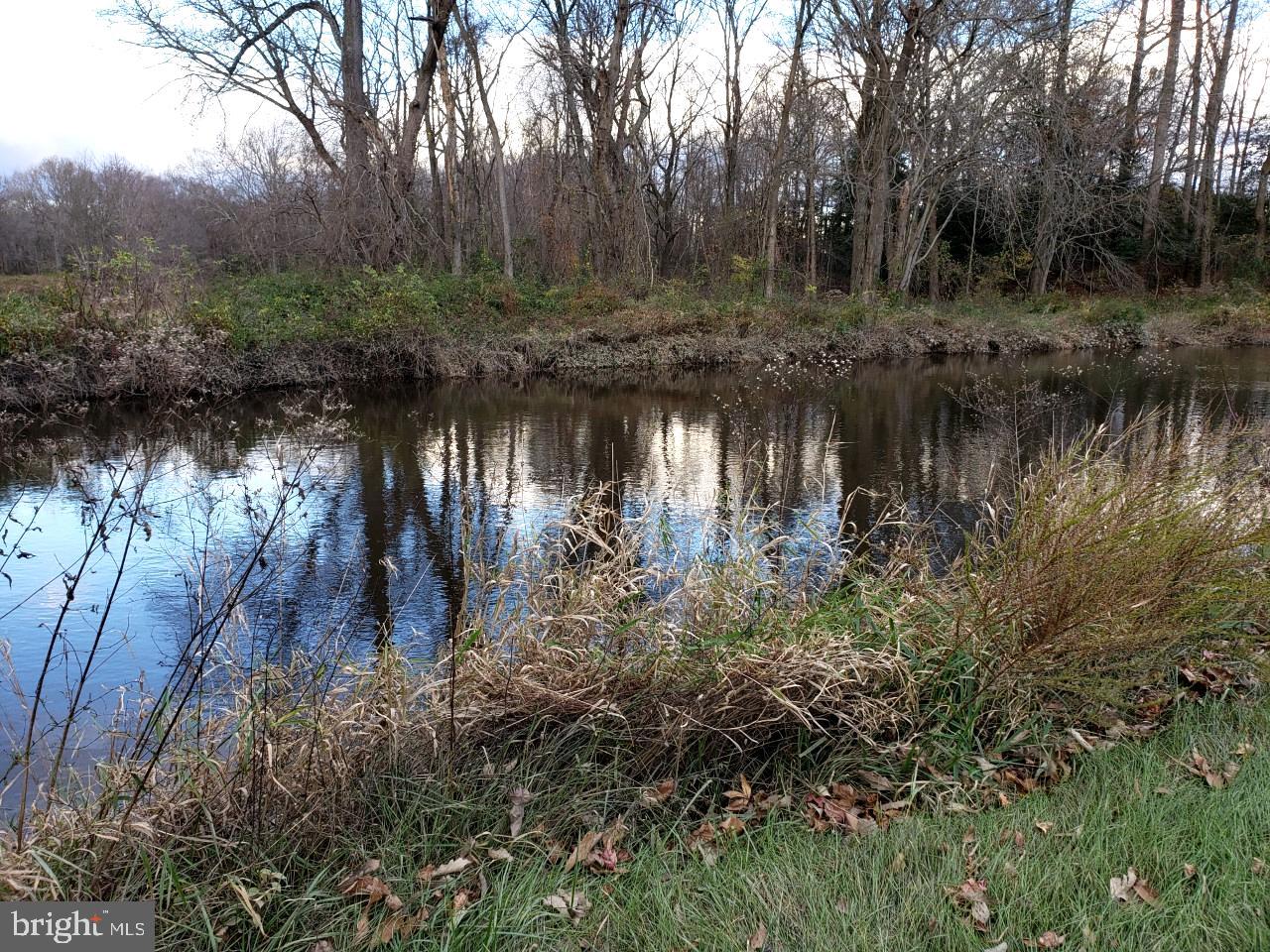 14924 Cherry Lane Ridgely, MD 21660 - Photo 40 of 43 Pond