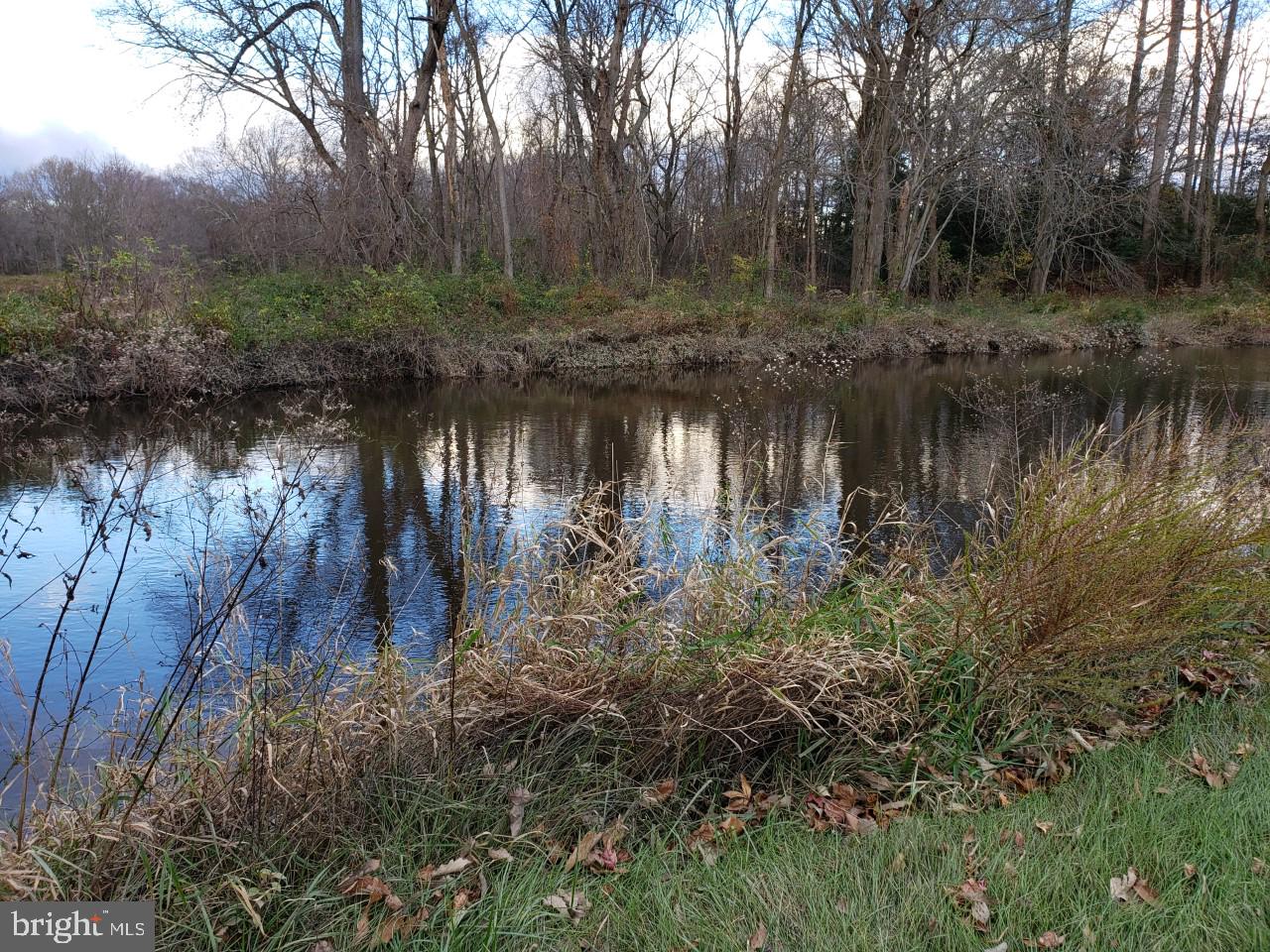 14924 Cherry Lane Ridgely, MD 21660 - Photo 41 of 43 Pond