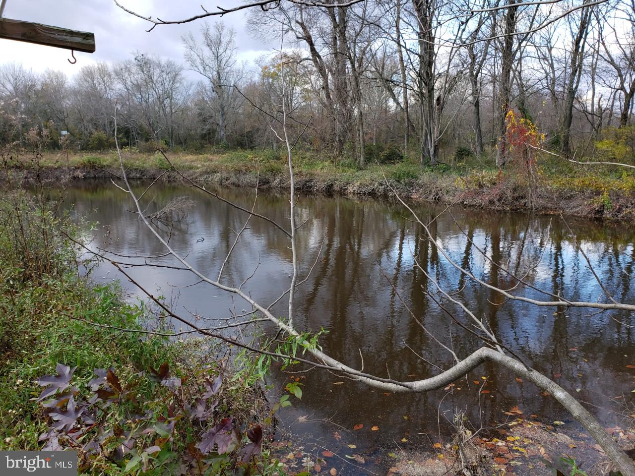 14924 Cherry Lane Ridgely, MD 21660 - Photo 42 of 43 Another view of pond