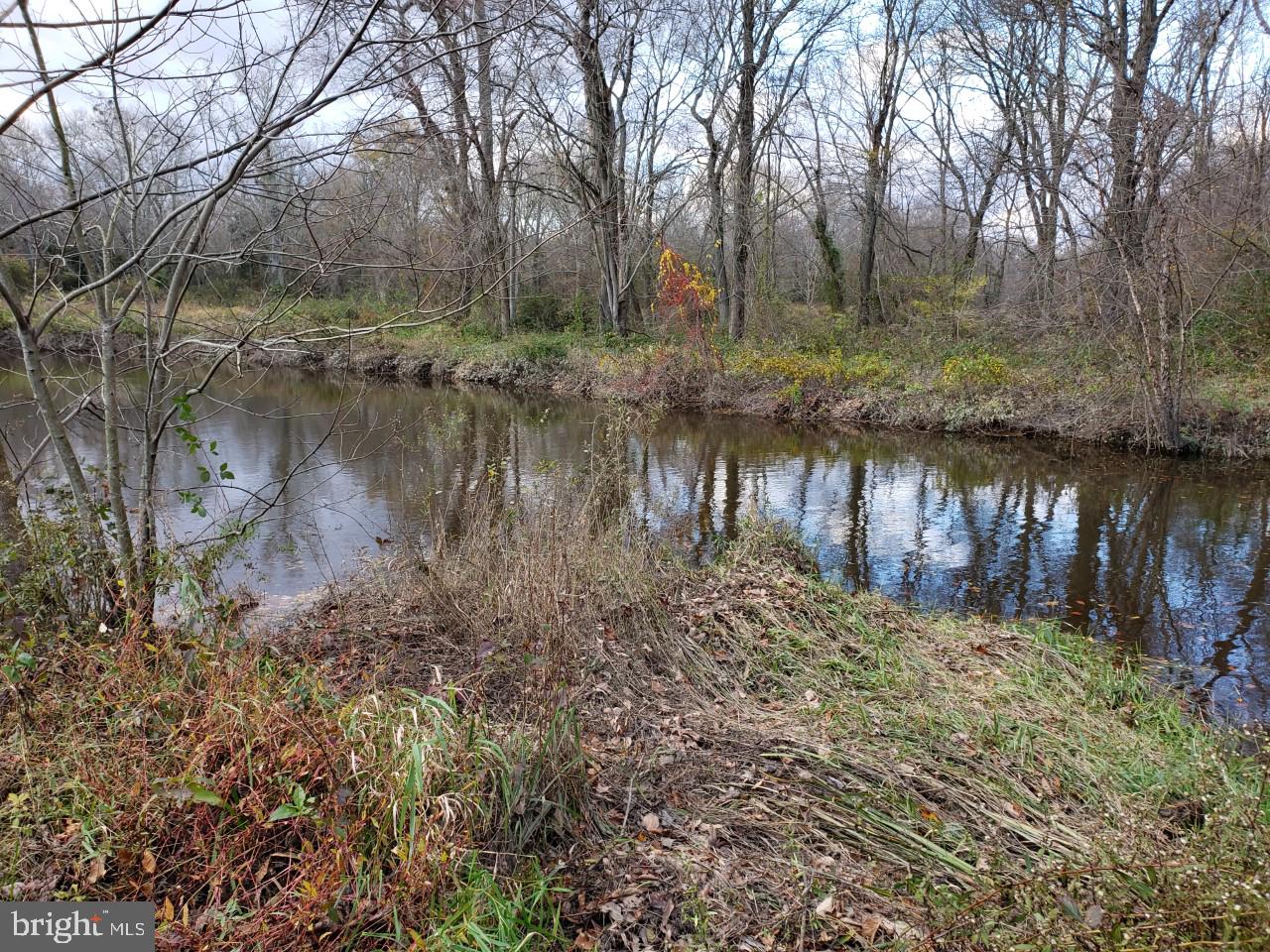 14924 Cherry Lane Ridgely, MD 21660 - Photo 43 of 43 Pond