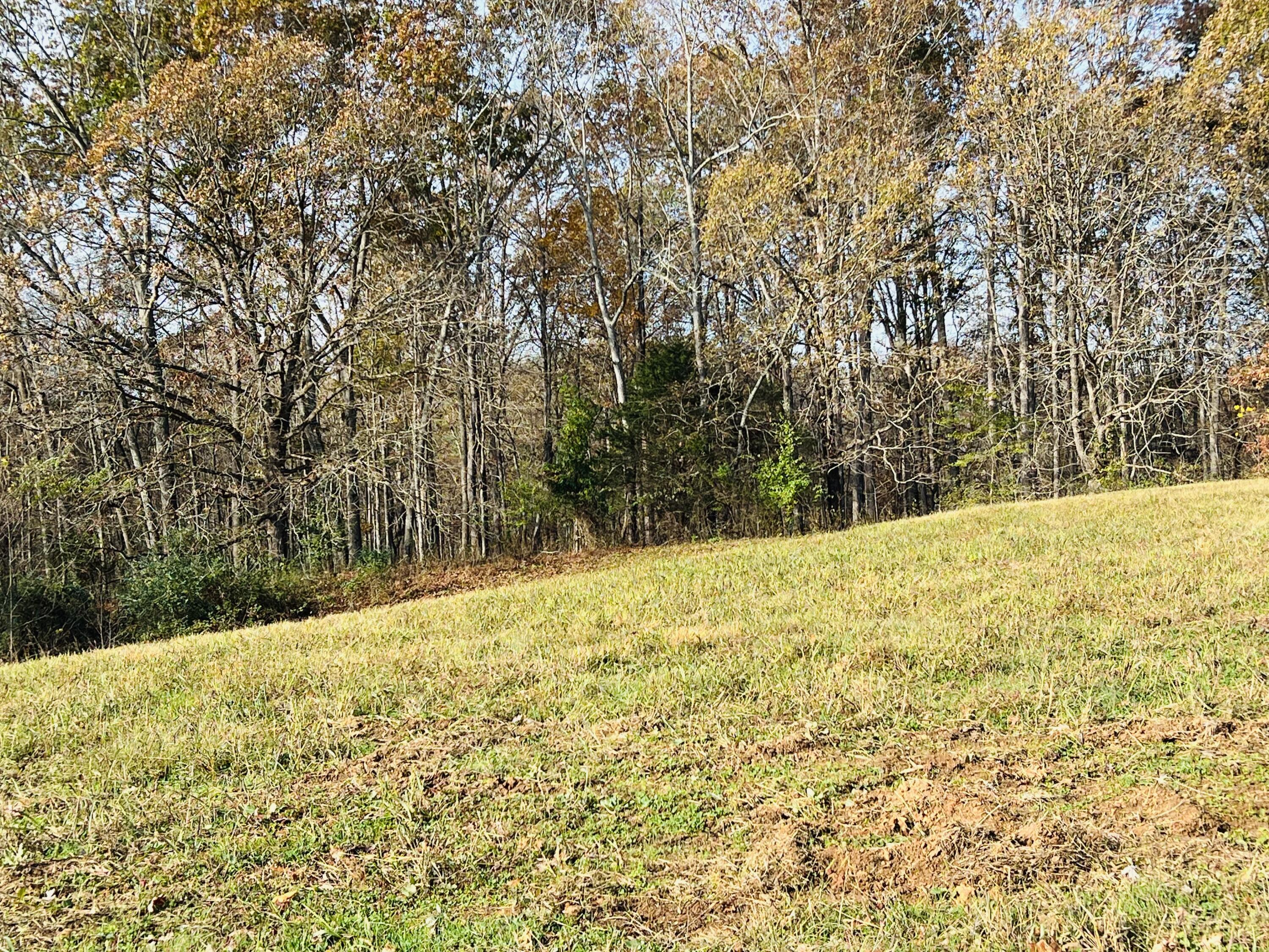 10 Newell Road Somerset, KY 42503 - Photo 19 of 37 IMG_7688