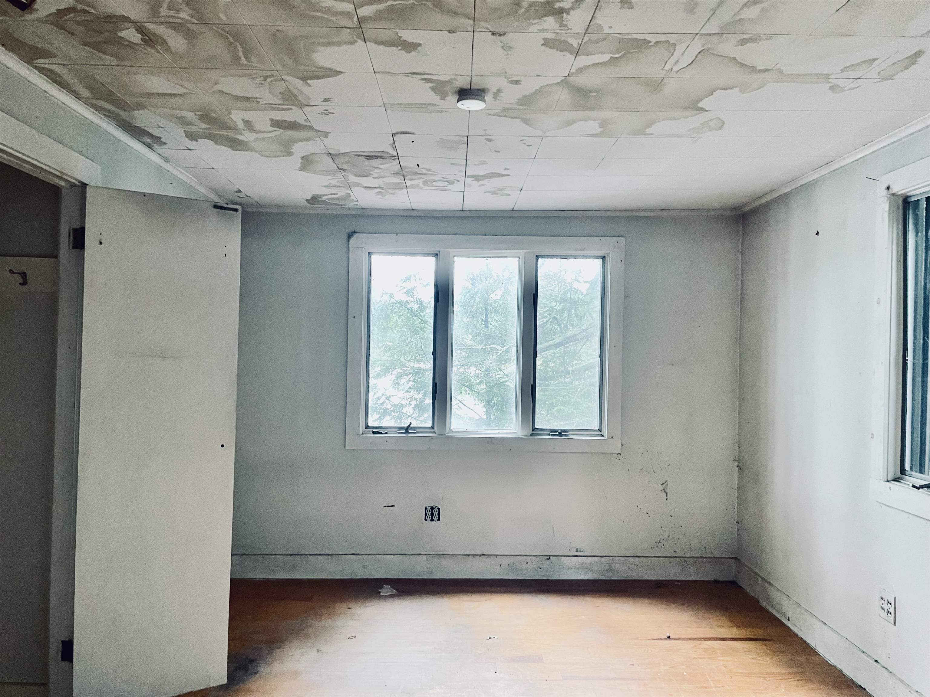 284 Village Road Wilmot, NH 03287 - Photo 3 of 18