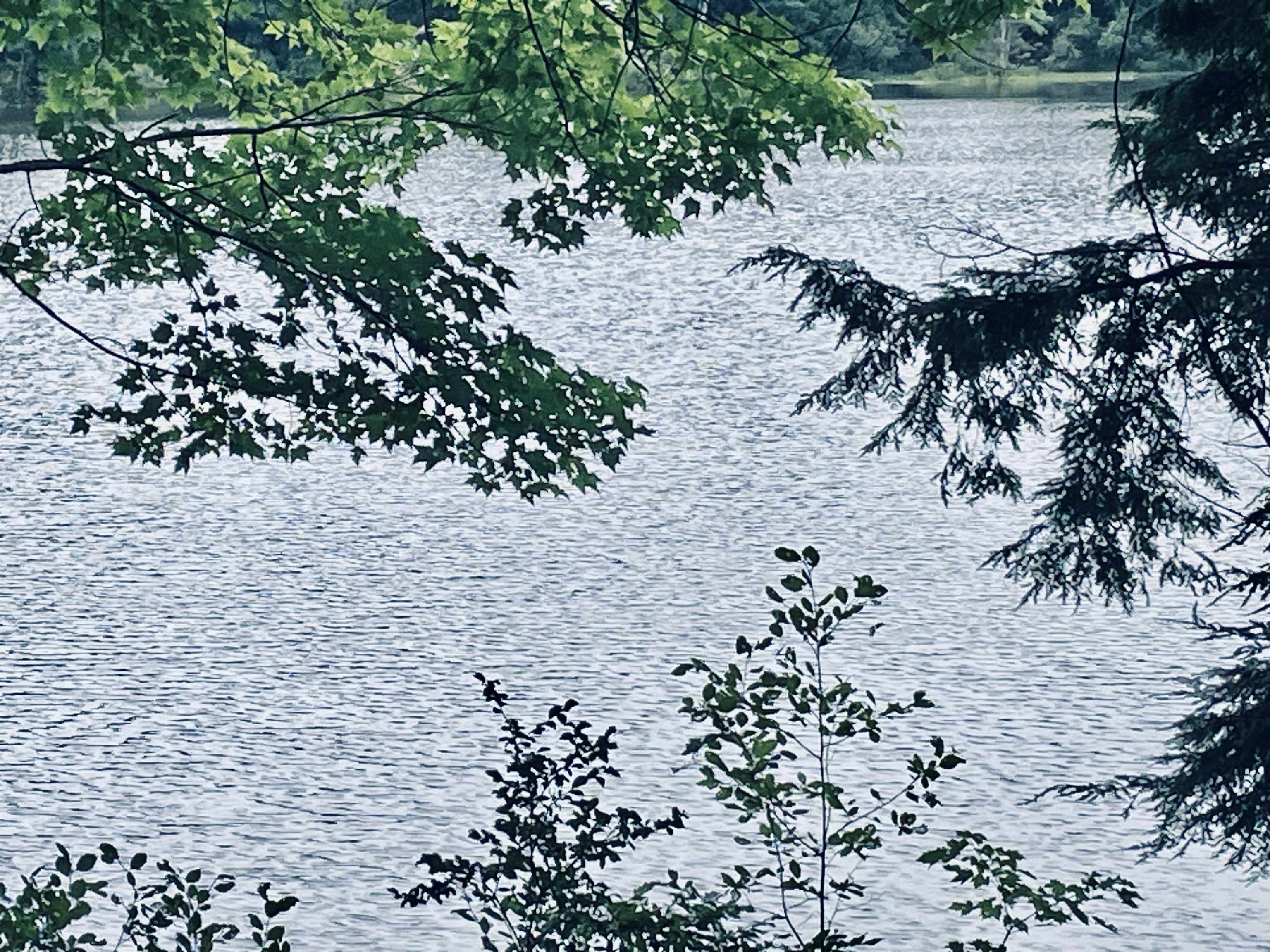 284 Village Road Wilmot, NH 03287 - Photo 8 of 18