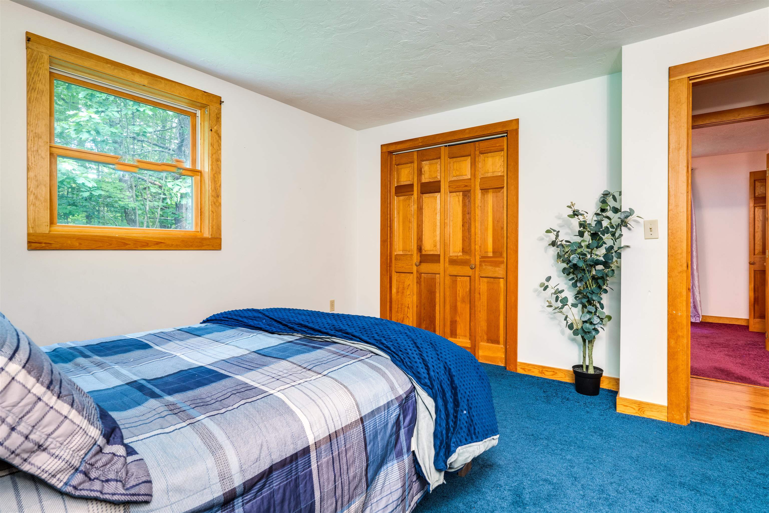 4 Winona Shores Road Meredith, NH 03253 - Photo 21 of 37 Gallery Image 21