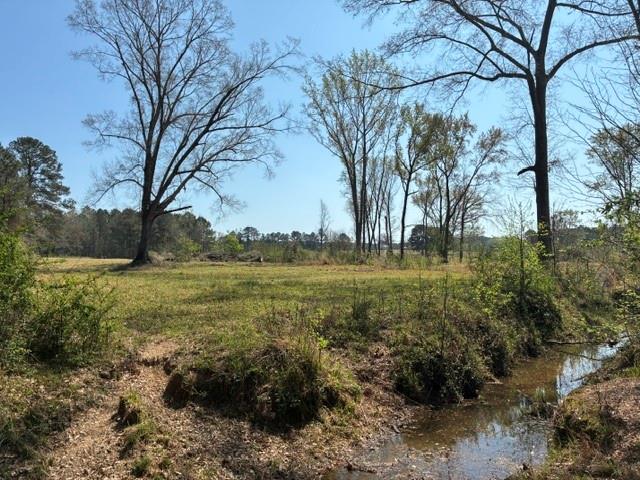 D-1 Dorcheat Road Minden, LA 71055 - Photo 1 of 17 a view of a garden with an trees