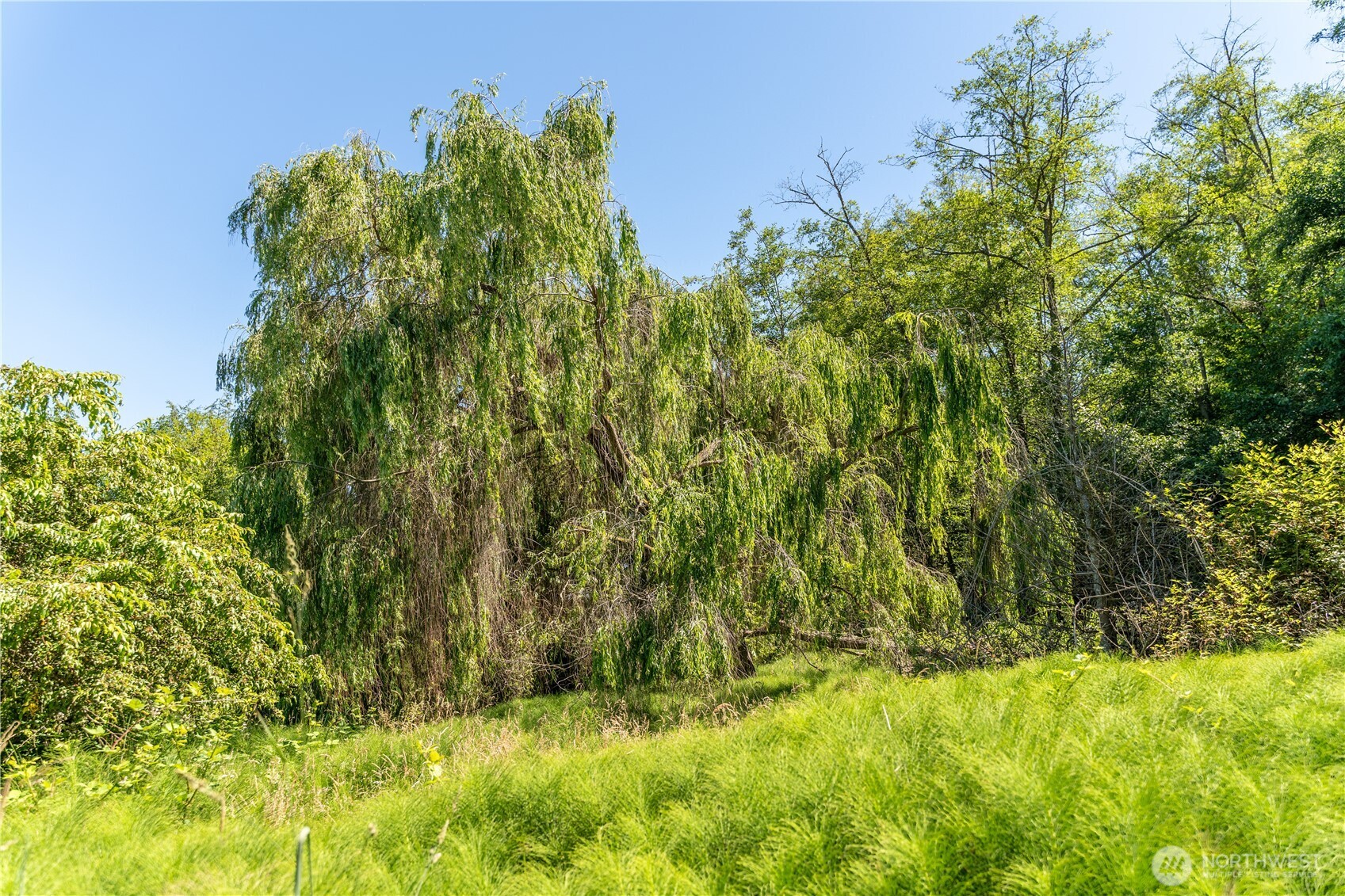 0 East Heggeness Road Clinton, WA 98236 - Photo 12 of 19