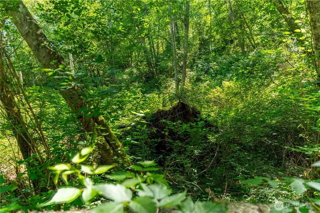 $275,000 | 0 East Heggeness Road, Clinton, WA 98236