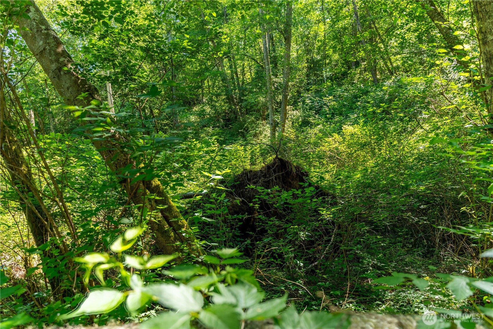 0 East Heggeness Road Clinton, WA 98236 - Photo 16 of 19