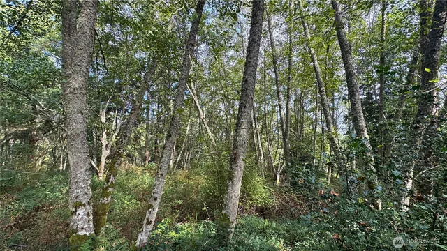 $275,000 | 0 East Heggeness Road, Clinton, WA 98236