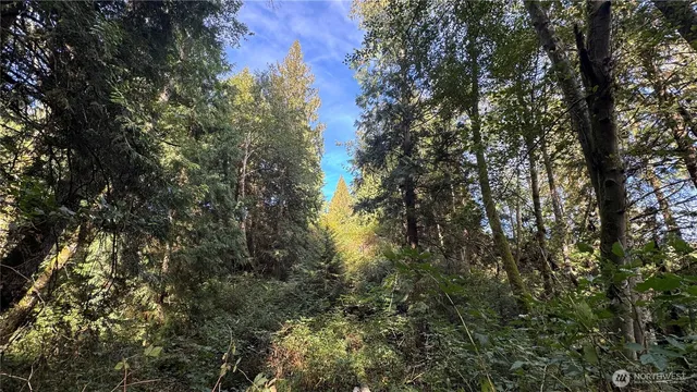 $275,000 | 0 East Heggeness Road, Clinton, WA 98236