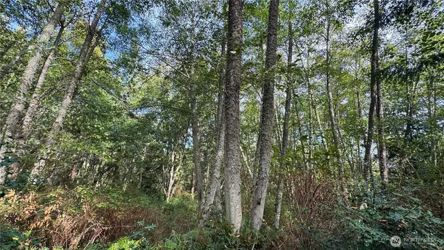 $275,000 | 0 East Heggeness Road, Clinton, WA 98236