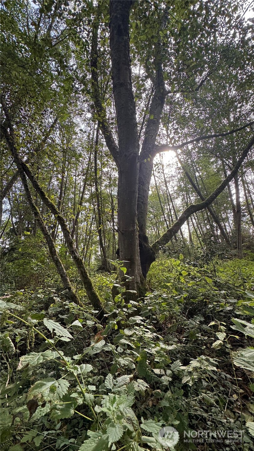 0 East Heggeness Road Clinton, WA 98236 - Photo 7 of 19