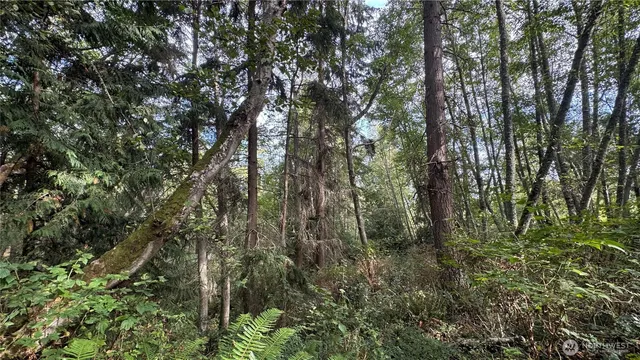 $275,000 | 0 East Heggeness Road, Clinton, WA 98236