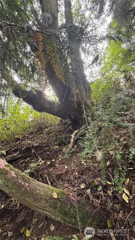 $275,000 | 0 East Heggeness Road, Clinton, WA 98236