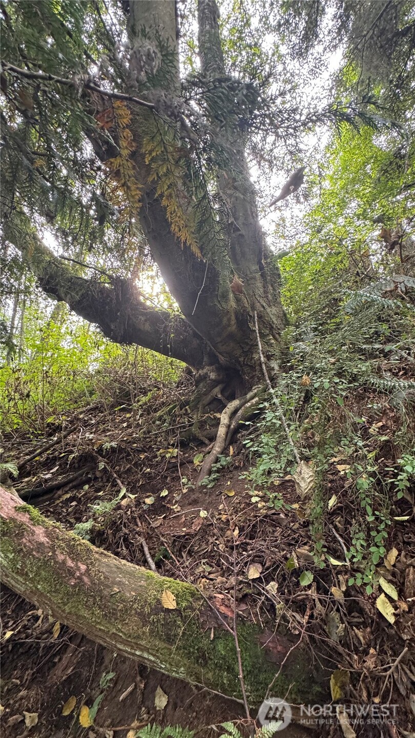 0 East Heggeness Road Clinton, WA 98236 - Photo 10 of 19