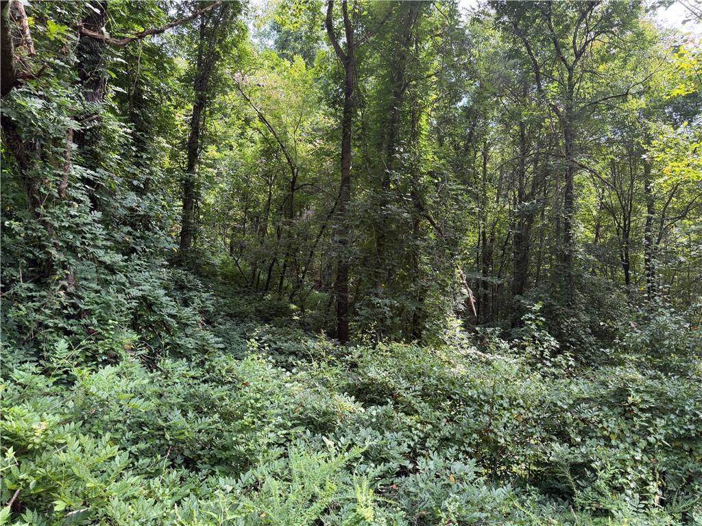 0 Fuller Mountain Road Fairmount, GA 30139 - Photo 10 of 14 Gallery Image 10