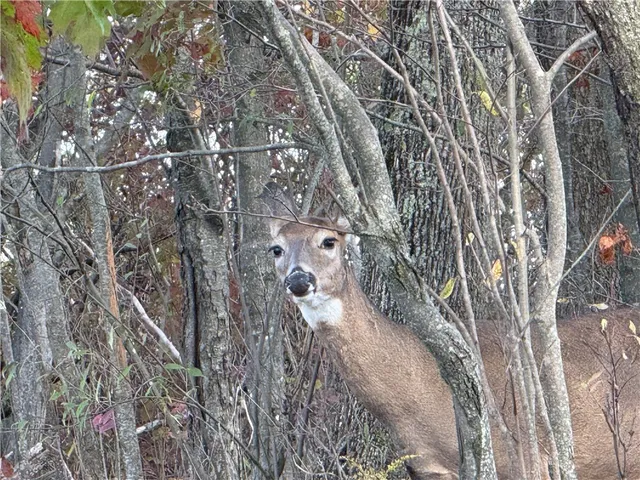 $739,900 | 891 Dutch Hill Road, Southport, NY 14871