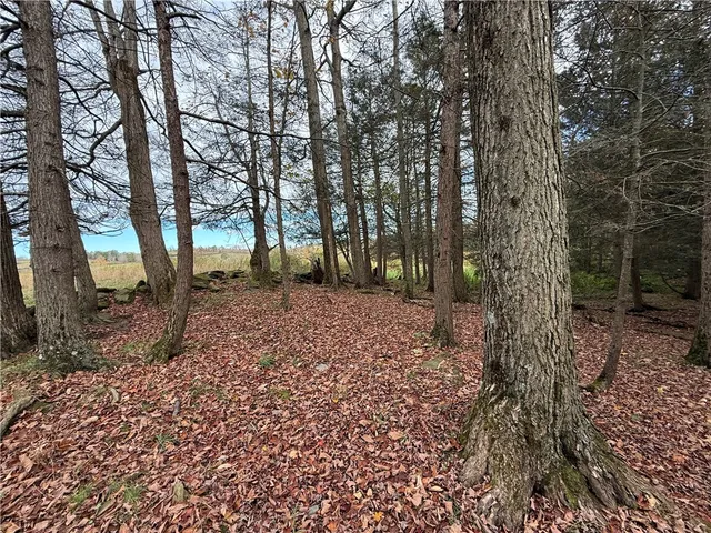 $739,900 | 891 Dutch Hill Road, Southport, NY 14871