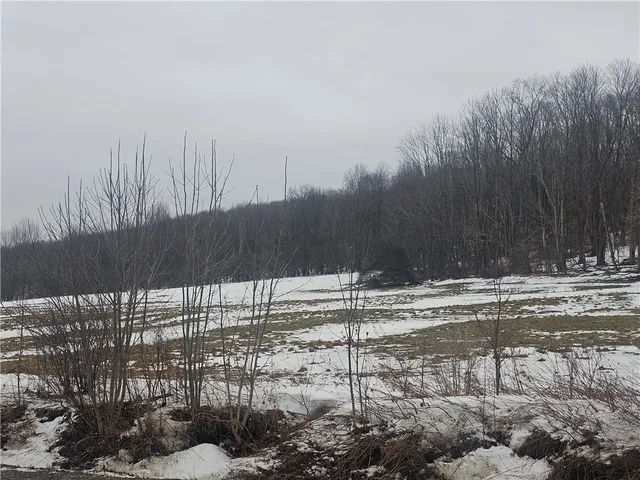 $317,400 | Thornton Road, Cherry Creek, NY 14723