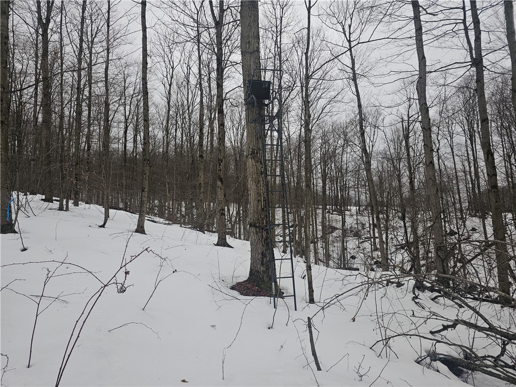 Thornton Road Cherry Creek, NY 14723 - Photo 11 of 33