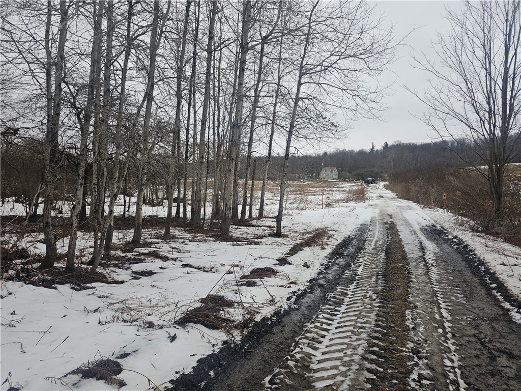 Thornton Road Cherry Creek, NY 14723 - Photo 12 of 33