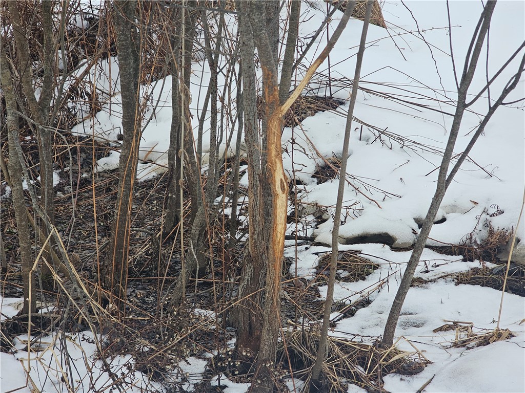 Thornton Road Cherry Creek, NY 14723 - Photo 13 of 33