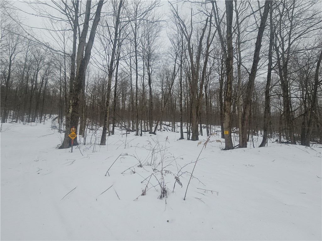 Thornton Road Cherry Creek, NY 14723 - Photo 14 of 33