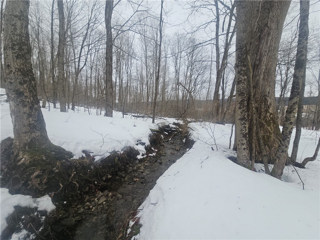 Thornton Road Cherry Creek, NY 14723 - Photo 15 of 33