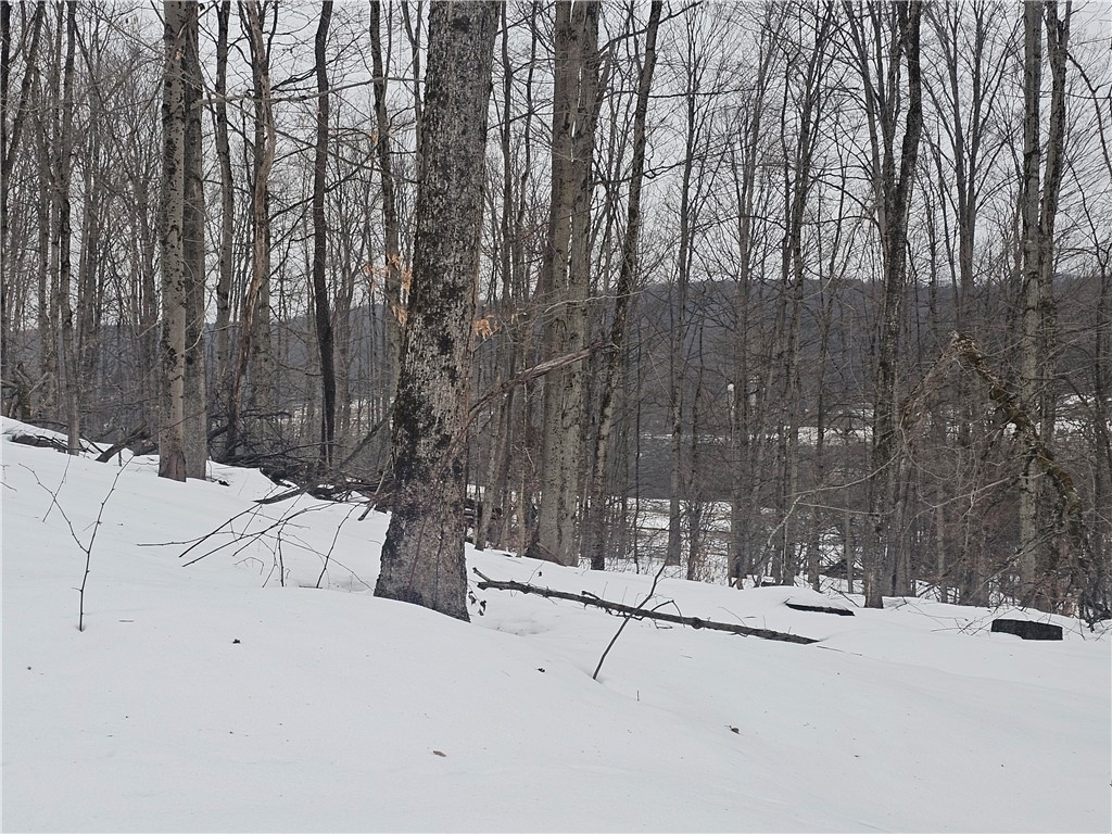 Thornton Road Cherry Creek, NY 14723 - Photo 16 of 33