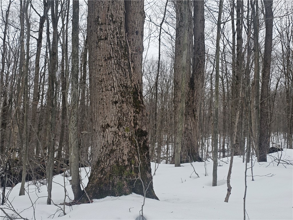 Thornton Road Cherry Creek, NY 14723 - Photo 17 of 33