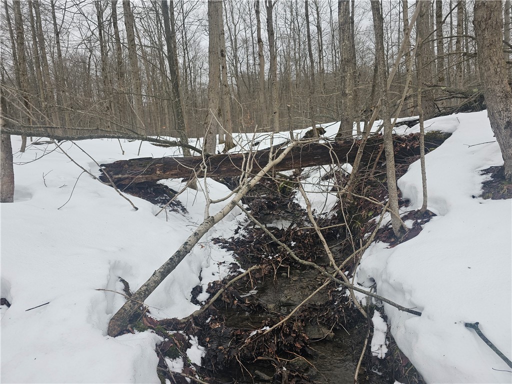 Thornton Road Cherry Creek, NY 14723 - Photo 18 of 33