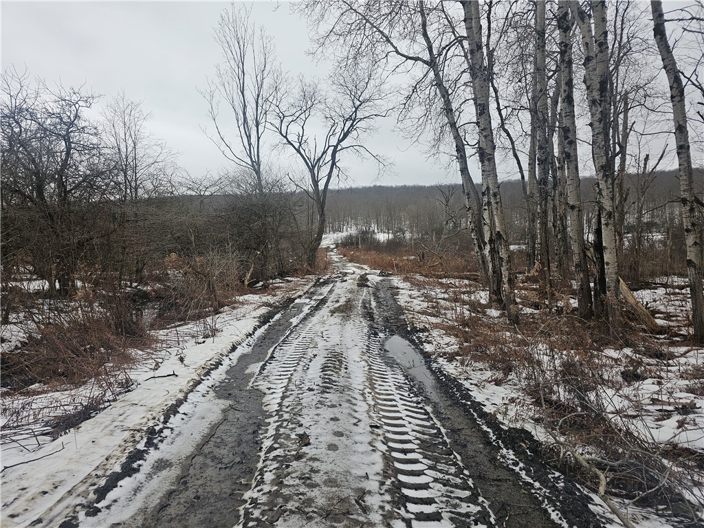 Thornton Road Cherry Creek, NY 14723 - Photo 2 of 33