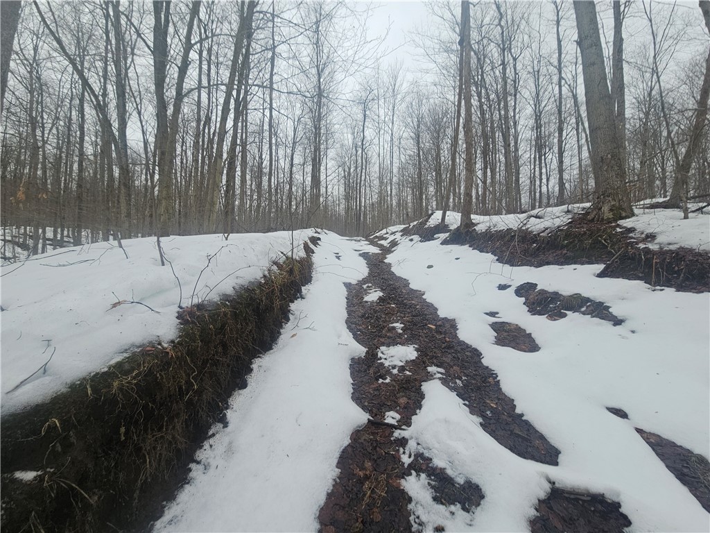 Thornton Road Cherry Creek, NY 14723 - Photo 21 of 33