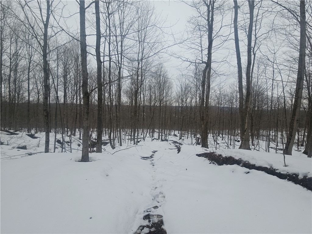 Thornton Road Cherry Creek, NY 14723 - Photo 22 of 33