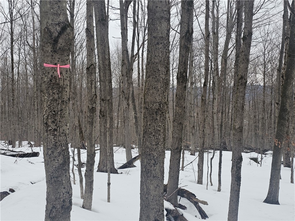 Thornton Road Cherry Creek, NY 14723 - Photo 23 of 33