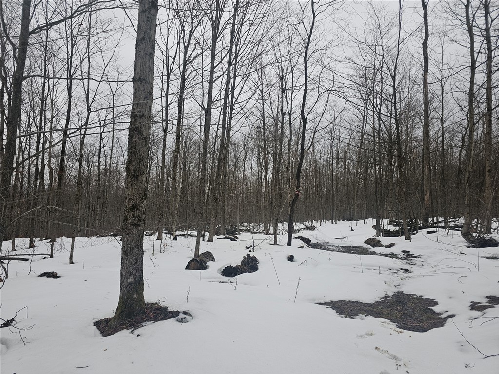 Thornton Road Cherry Creek, NY 14723 - Photo 24 of 33