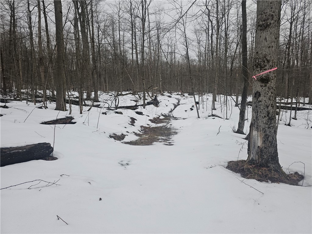 Thornton Road Cherry Creek, NY 14723 - Photo 25 of 33