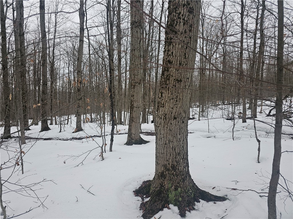 Thornton Road Cherry Creek, NY 14723 - Photo 26 of 33