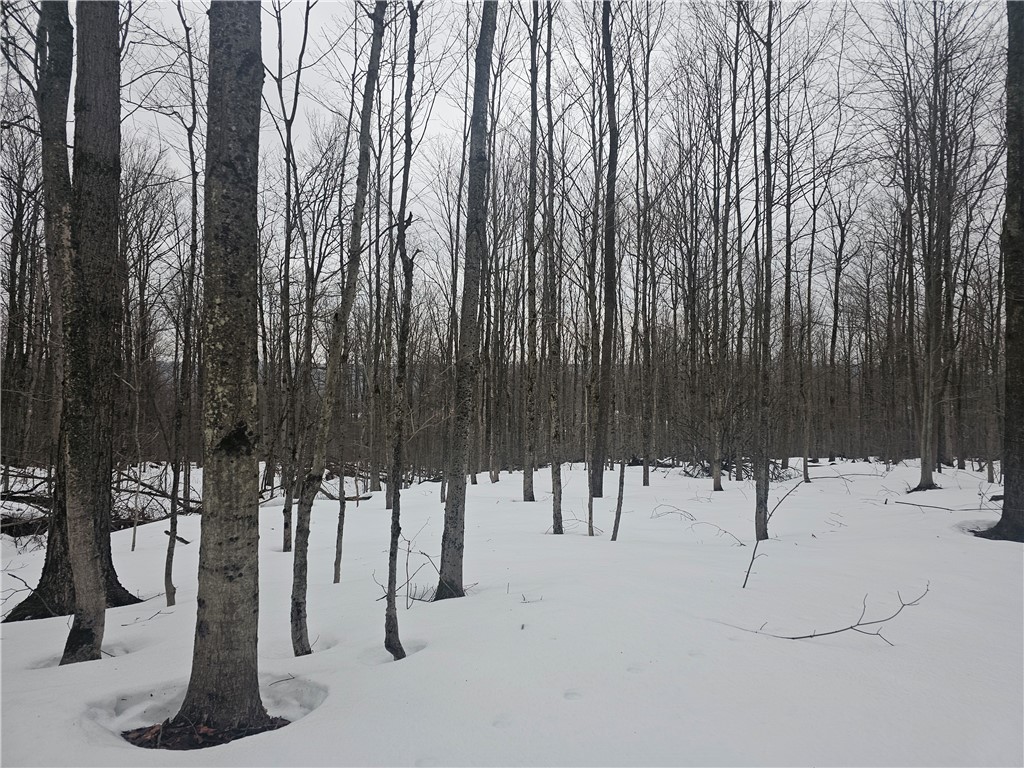 Thornton Road Cherry Creek, NY 14723 - Photo 27 of 33