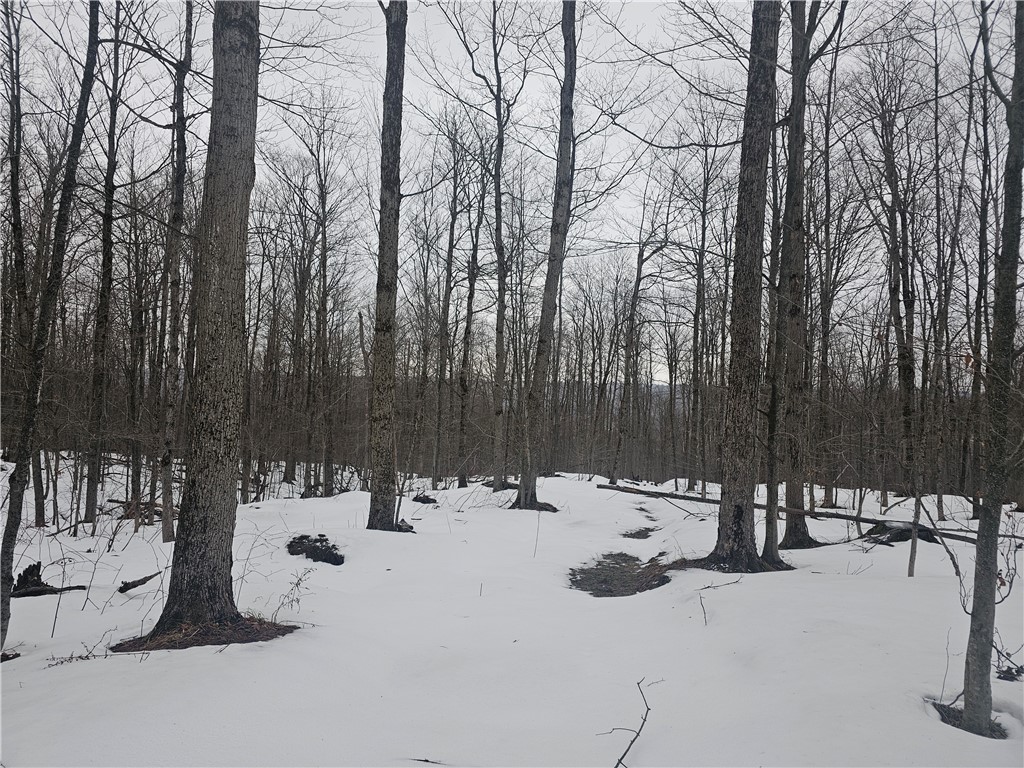 Thornton Road Cherry Creek, NY 14723 - Photo 28 of 33