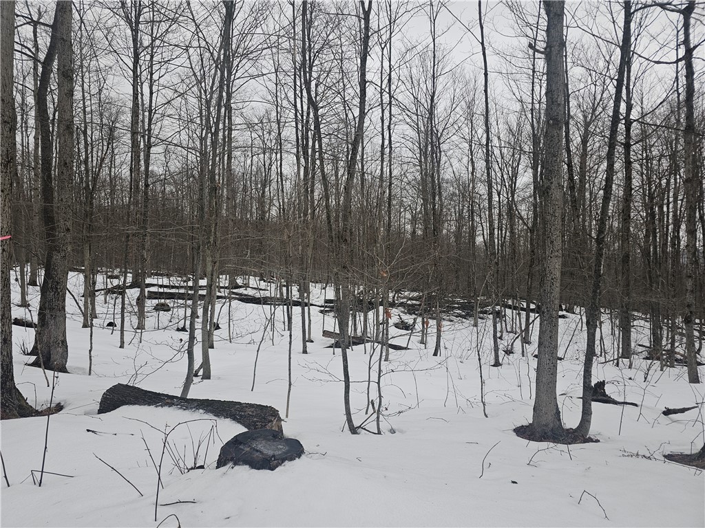 Thornton Road Cherry Creek, NY 14723 - Photo 29 of 33