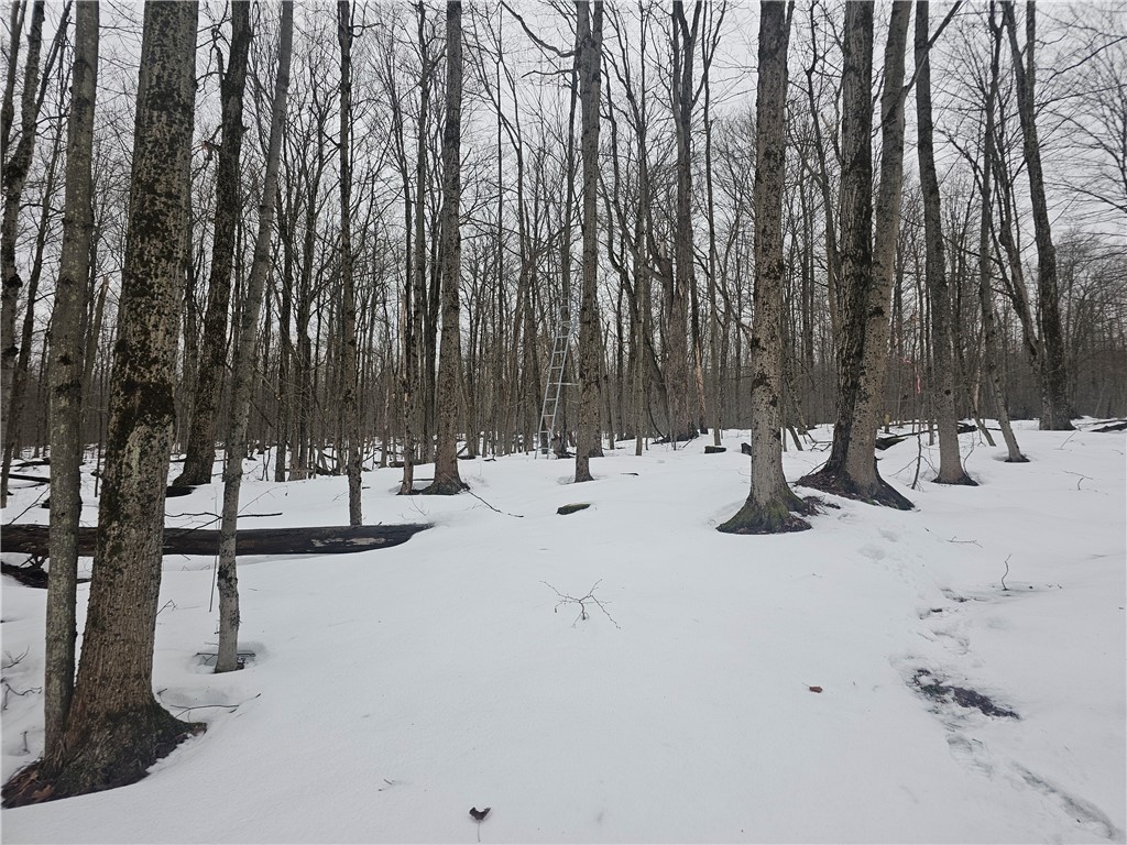 Thornton Road Cherry Creek, NY 14723 - Photo 30 of 33