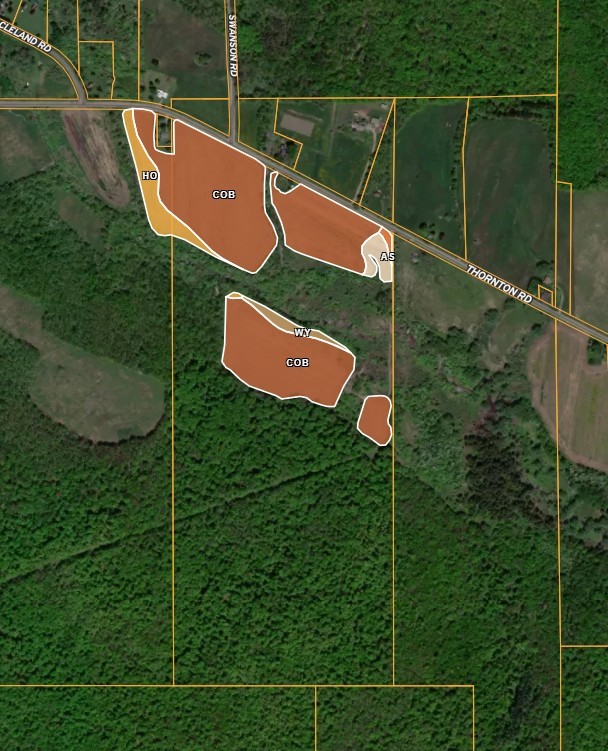 Thornton Road Cherry Creek, NY 14723 - Photo 3 of 33