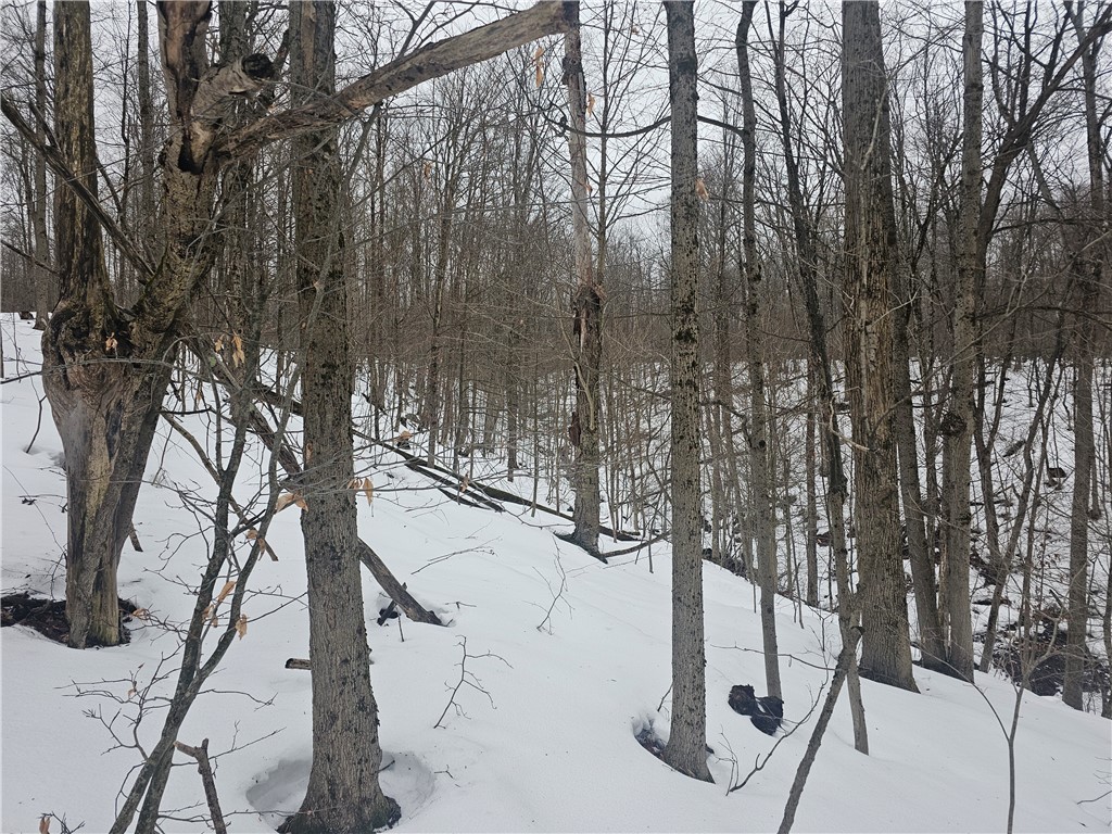 Thornton Road Cherry Creek, NY 14723 - Photo 31 of 33