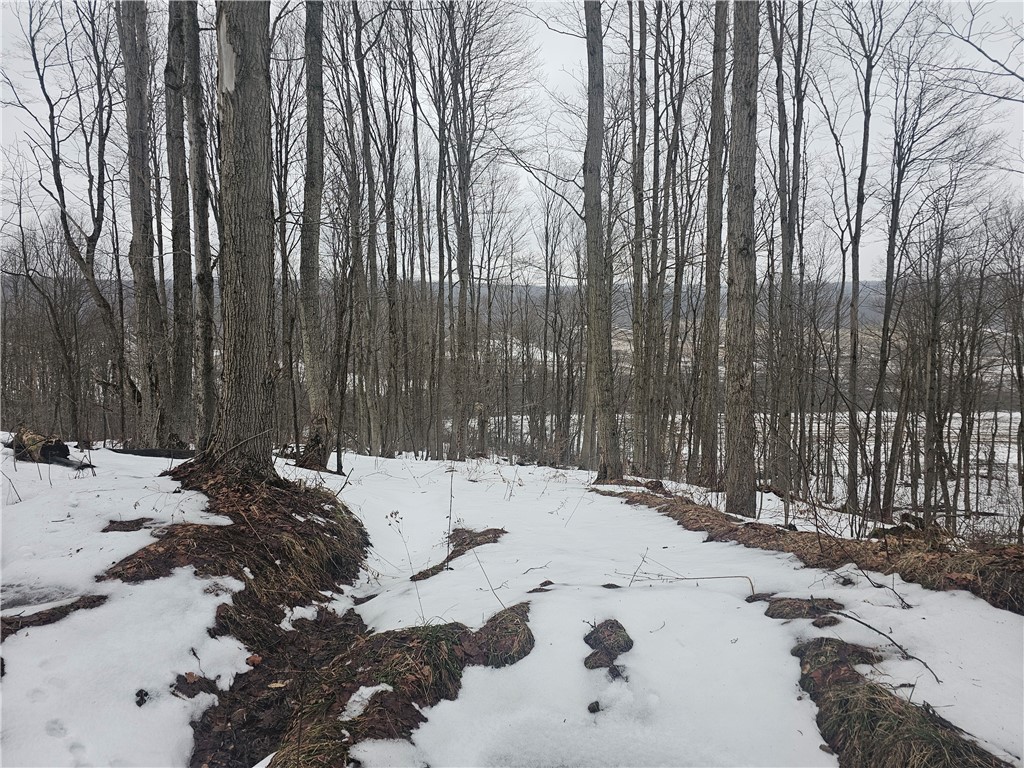 Thornton Road Cherry Creek, NY 14723 - Photo 33 of 33