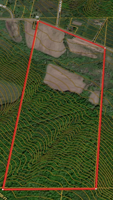 Thornton Road Cherry Creek, NY 14723 - Photo 5 of 33