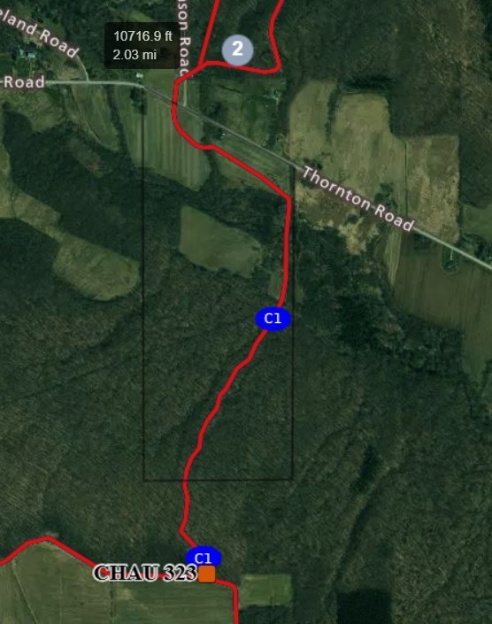 Thornton Road Cherry Creek, NY 14723 - Photo 7 of 33