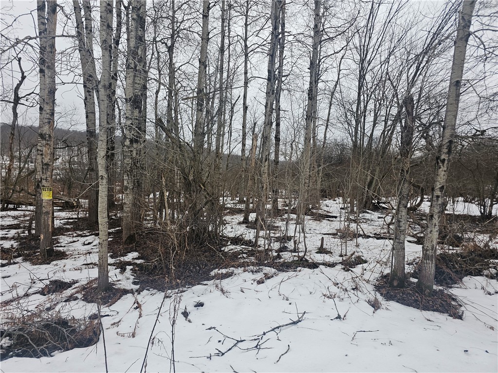 Thornton Road Cherry Creek, NY 14723 - Photo 10 of 33