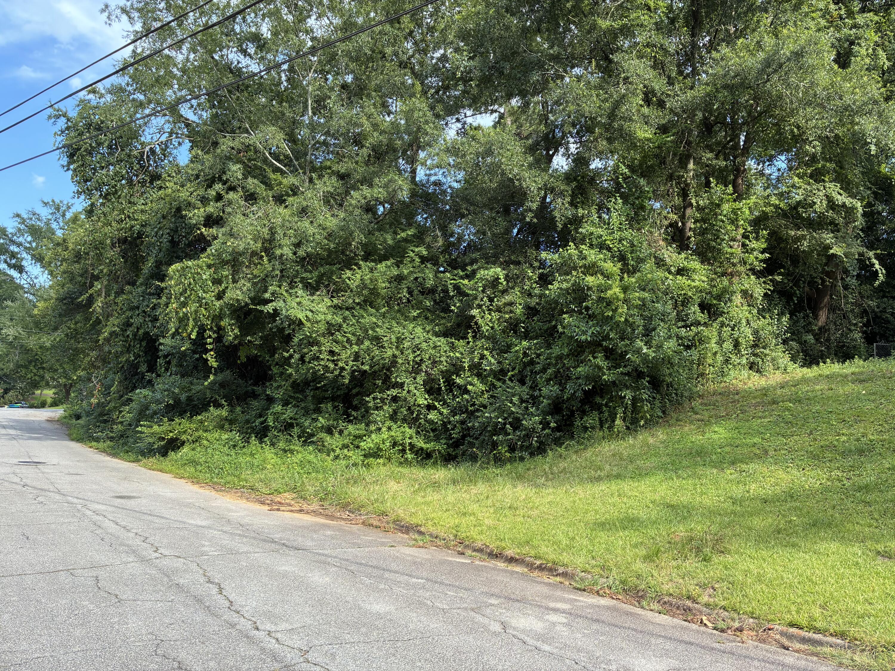 2716 Springwood Drive Augusta, GA 30909 - Photo 3 of 3 IMG_1326