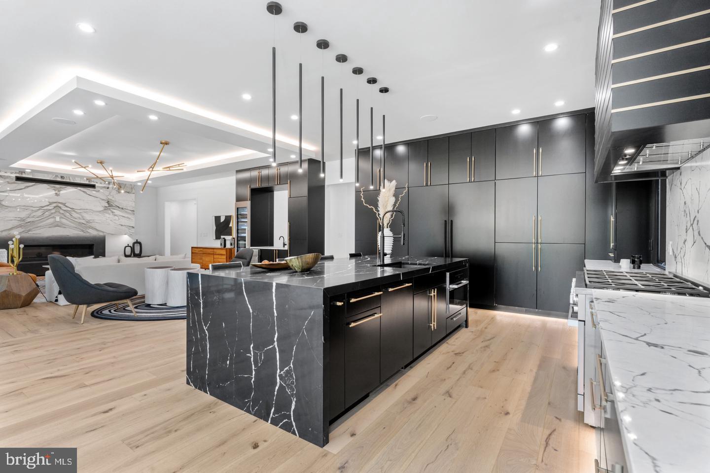 1138 Basil Road McLean, VA 22101 - Photo 6 of 24 Sleek modern kitchen with elegant finishes.